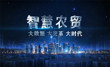 中国智慧城市建设－宣传片制作拍摄策划推广