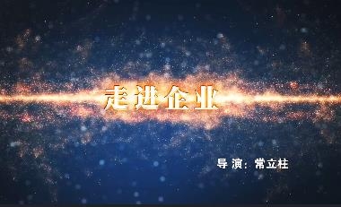 走进企业系列纪录片－第2集 走进荣宝斋
